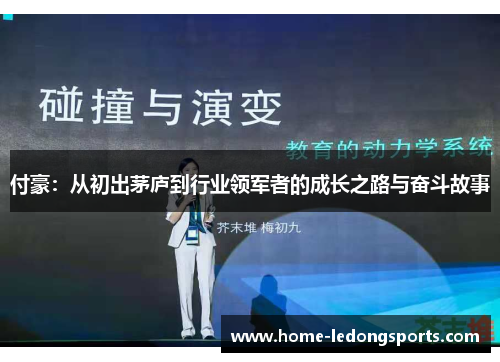 付豪：从初出茅庐到行业领军者的成长之路与奋斗故事
